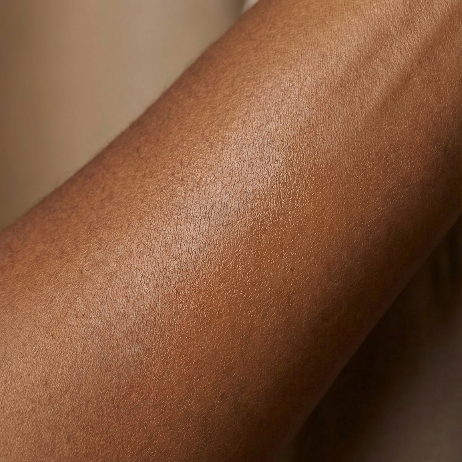 close up shot of luminous brown skin